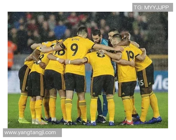 都灵对阵狼队比赛分析与推荐策略详解