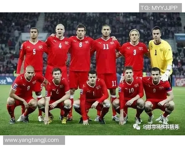 奥地利与拉脱维亚足球比赛比分预测及分析展望